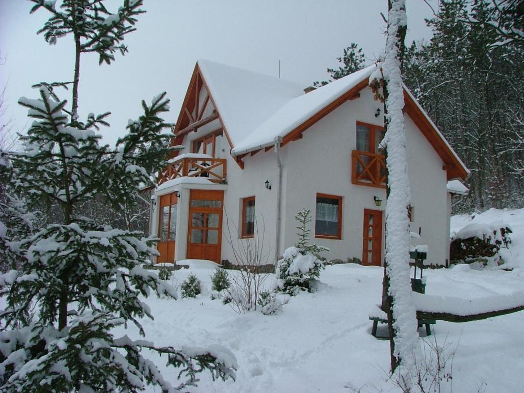 Hôtel Szarvas Panzio à Erdőbénye Extérieur photo